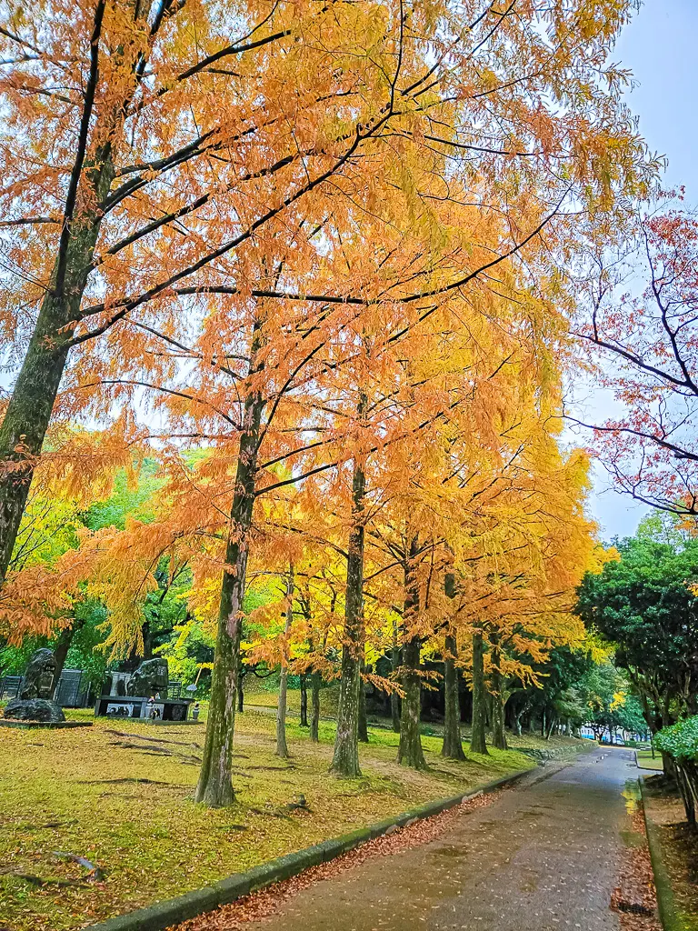 日本德島景點-德島中央公園