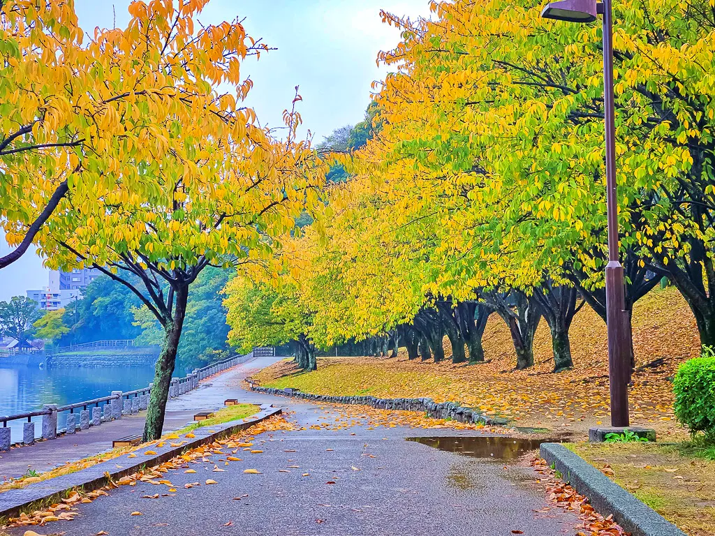 日本德島景點-德島中央公園