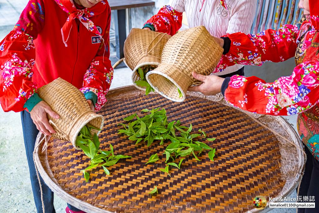 宜蘭景點-零工圍茶舖-一日製茶師體驗