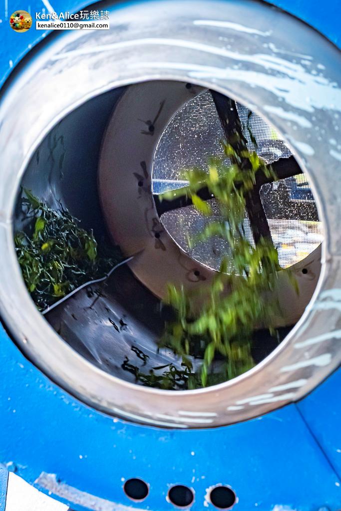 宜蘭景點-零工圍茶舖-一日製茶師體驗