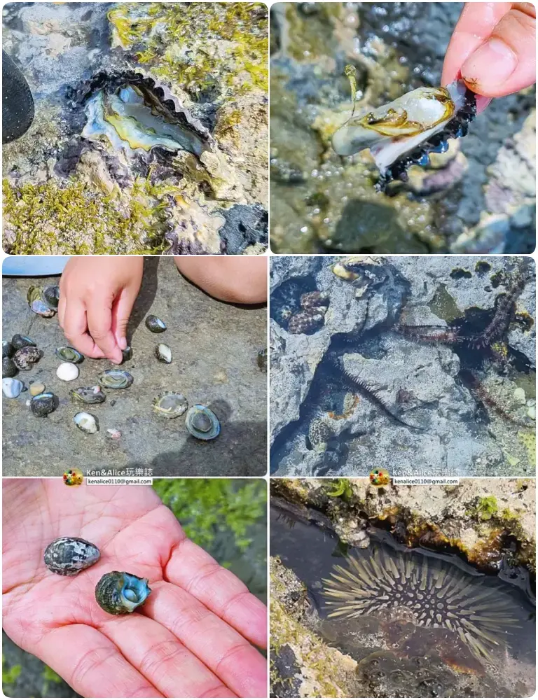 澎湖民宿推薦-MOON月海景民宿